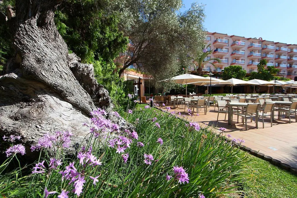 Viva Sunrise Aparthotel Port de Alcudia